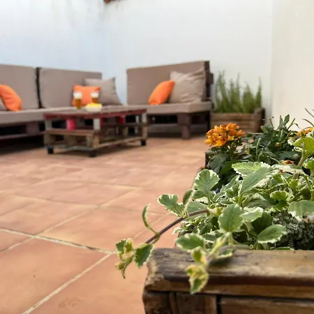 Casa El Olivar